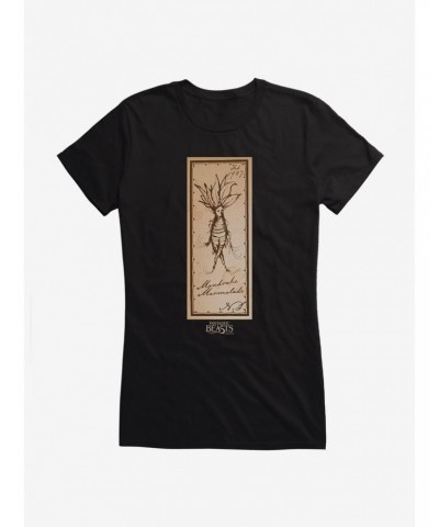 Fantastic Beasts Herbology Mandrake Marmalade Girls T-Shirt $8.76 T-Shirts