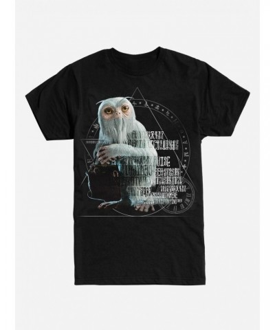 Fantastic Beasts™ Demiguise™ Symbols T-Shirt $8.03 T-Shirts