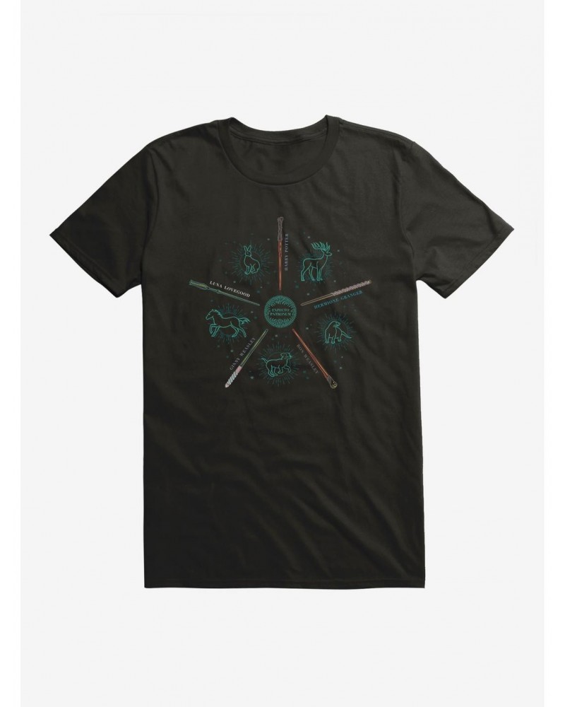 Harry Potter Five Wands Cute Sketch Logo T-Shirt $8.03 T-Shirts