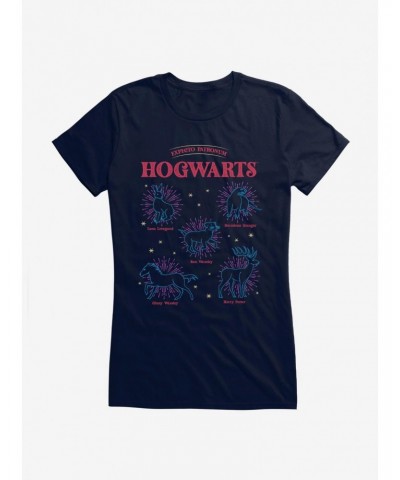 Harry Potter Hogwarts Patronus Girls T-Shirt $6.57 T-Shirts